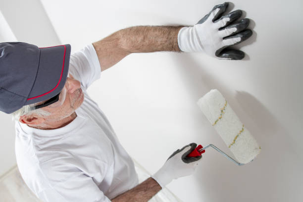 Best Mold Odor Removal Services  in Las Vegas, NM