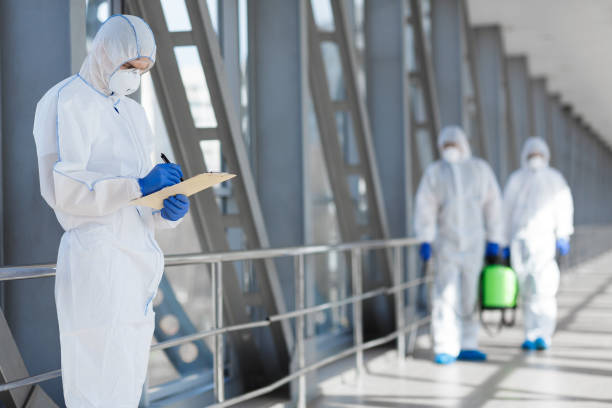 Best Black Mold Removal  in Las Vegas, NM